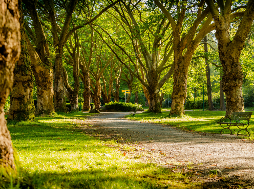 Beautiful Ohio parks